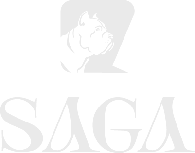 SAGA DOORS - Логотип